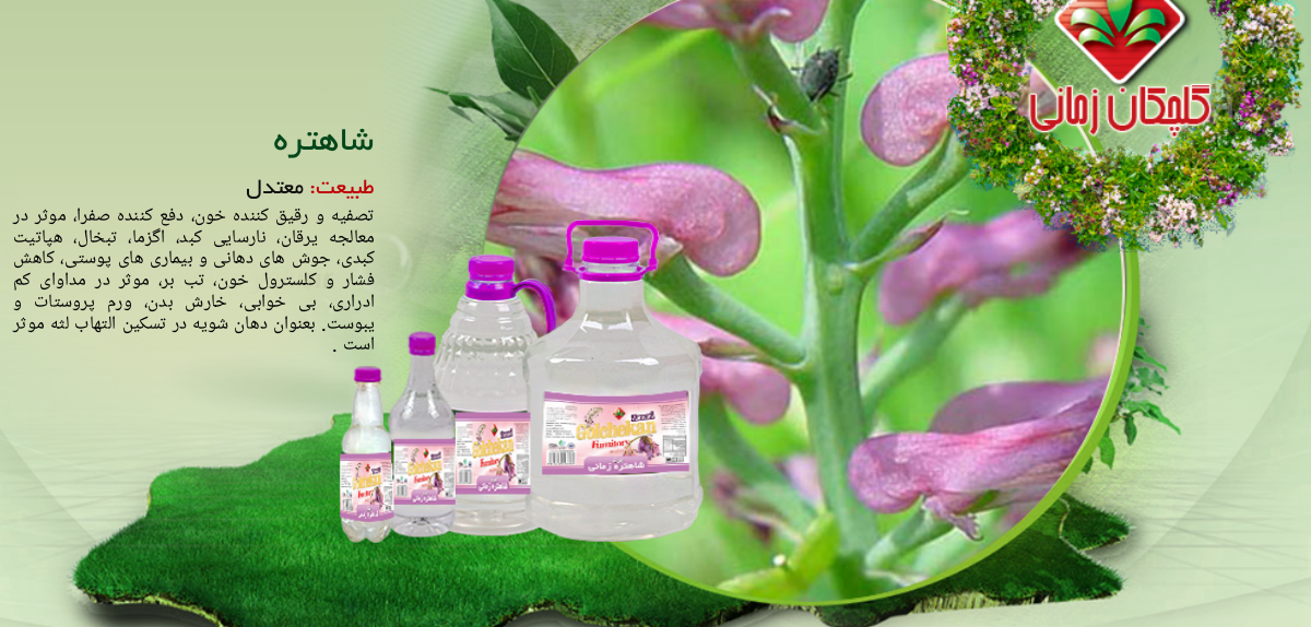 عرق شاهتره